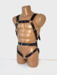 Bondages Men's harness set with ring, Harness and brief mens, Harness mens festival, Male leather lingerie harness leather harnesses for men
